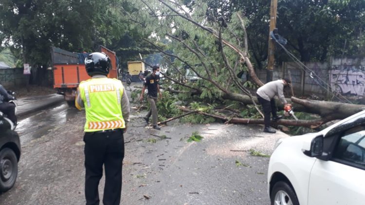 Polsek Cisauk Turut Membantu Mengevakuasi Pohon Tumbang di Jalan Raya Puspiptek