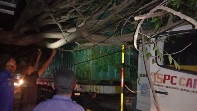 Pohon Tumbang Di Jalan Daan Mogot Raya Batuceper