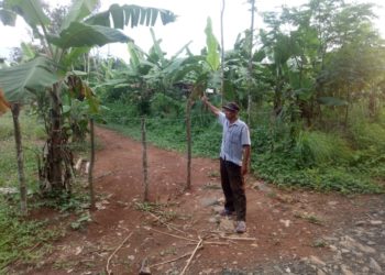 Sengketa Tanah Di Blok Pasir Kamarang Desa Margajaya Kedua Belah Pihak Harus Tunjukan Sertifikat Aslih 