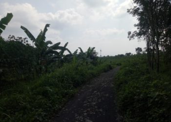 UDIN TUDING TANAHNYA DIJUAL TANPA PERSETUJUANNYA,DI BLOK PASIR TAMAN DESA MARGAJAYA 