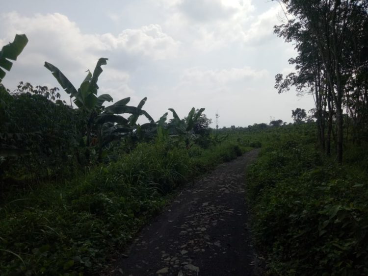 UDIN TUDING TANAHNYA DIJUAL TANPA PERSETUJUANNYA,DI BLOK PASIR TAMAN DESA MARGAJAYA 