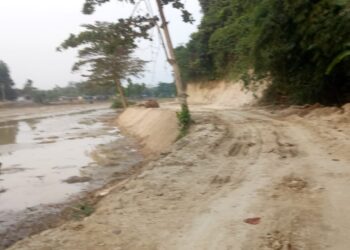 Normalisasi Situ Palayangan, Diduga Puluhan Miliar Uang Negara Terbuang Sia-Sia