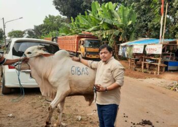 Ketua Gibas Resort Purwakarta Sembelih Satu Ekor Sapi Dan Domba Di Hari RAYA IDUL ADHA 1441 H Untuk Di Bagikan Ke Masyarakat