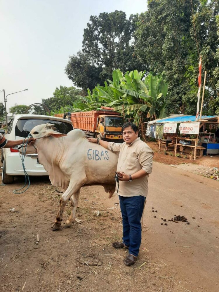 Ketua Gibas Resort Purwakarta Sembelih Satu Ekor Sapi Dan Domba Di Hari RAYA IDUL ADHA 1441 H Untuk Di Bagikan Ke Masyarakat