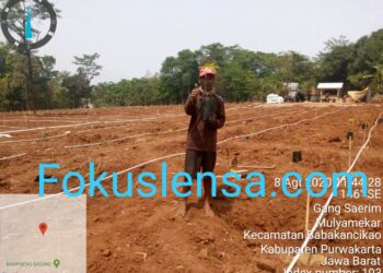 Terbukti Hari Ini Kami Wujudkan Di Wilayah Kampung Sadang Menjadi Lahan Yang Indah Dan Bermanfaat Nantiny