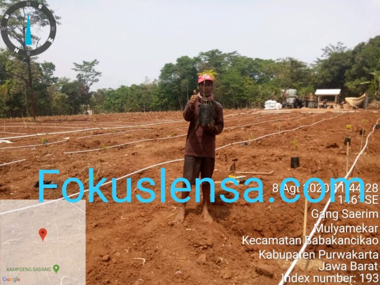 Terbukti Hari Ini Kami Wujudkan Di Wilayah Kampung Sadang Menjadi Lahan Yang Indah Dan Bermanfaat Nantiny