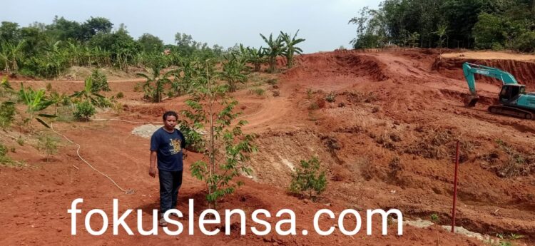 Keren Reboisasi Galian Tanah Di Kampung Gandasari Desa Cigelam Di Sulap Menjadi Ribuan Bibit Pohon Durian Unggulan