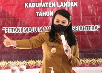 Bantuan Alsintan Pemkab Landak Cegah Petani Membakar Lahan