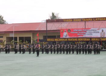 Satu SSK BRimob Polda Sumsel Setelah 6 Bulan Bertugas diPapua Kembali Kebumi Sriwijaya Palembang