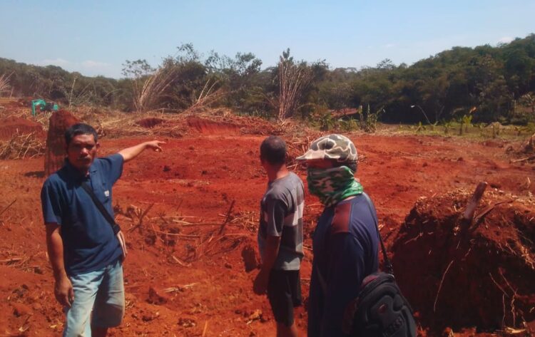 Reboisasi Alih Pungsi Lahan Tanah Merah Di Desa Ciwareng Akan Disulap Menjadi Lahan Bermanfaat Kedepannya