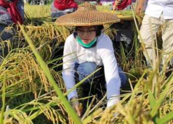 Hari Tani Nasional 2020, Bupati Purwakarta Apresiasi Program Terobosan Kementan