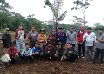 Prawita GENPPARI Dukung Wisata Produktif Budidaya Pohon Balsa