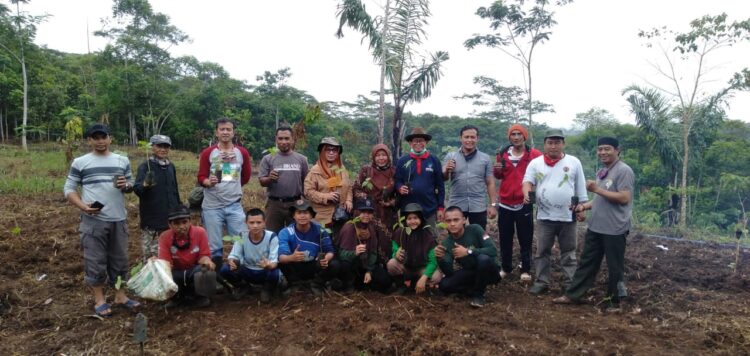 Prawita GENPPARI Dukung Wisata Produktif Budidaya Pohon Balsa