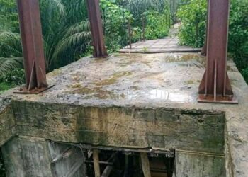 Gunawan Mulyadi Siapapun Bupati Waykanan Terpilih Nanti, Harus Menyelesaikan Jembatan Gantung Di Kampung satu TR Giham