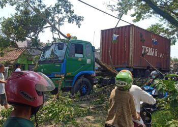 Gegara Truk Tersangkur Di Pohon Arus Lalin Jalan Raya Lewidamar Tersendat