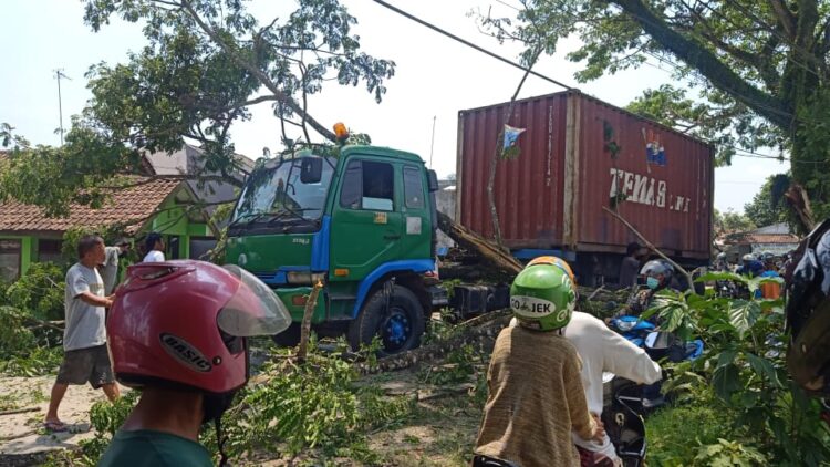 Gegara Truk Tersangkur Di Pohon Arus Lalin Jalan Raya Lewidamar Tersendat