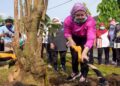 Kementrian Pertanian Berikan Penghargaan untuk Purwakarta Yang Mampu Meningkatkan Luas Tanam