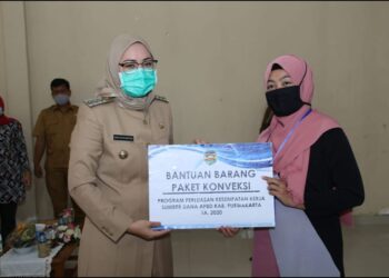 Pemkab Purwakarta Upayakan Pemulihan Ekonomi Masyarakat, Dengan Penerapan Teknologi Tepat Guna