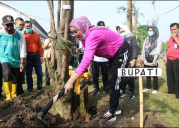 Pemkab Purwakarta Gelar Mitembeyan Tanam “Pohon Lame” Dalam Peringati Hari Tanam Pohon Sedunia