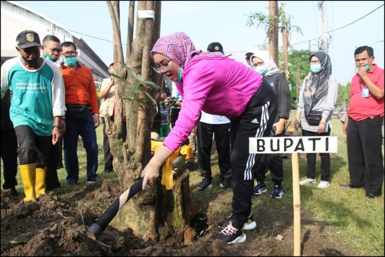 Pemkab Purwakarta Gelar Mitembeyan Tanam “Pohon Lame” Dalam Peringati Hari Tanam Pohon Sedunia