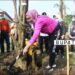 Pemkab Purwakarta Gelar Mitembeyan Tanam “Pohon Lame” Dalam Peringati Hari Tanam Pohon Sedunia