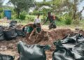 Antisipasi Cegah Abrasi Pantai, Babinsa Temajuk Bersama Warga Buat Tanggul Darurat