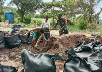 Antisipasi Cegah Abrasi Pantai, Babinsa Temajuk Bersama Warga Buat Tanggul Darurat