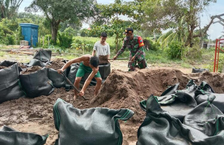 Antisipasi Cegah Abrasi Pantai, Babinsa Temajuk Bersama Warga Buat Tanggul Darurat