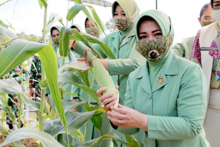 Ketua Persit Daerah XII/TPR : Saling Jalin komunikasi Saat Suami Bertugas