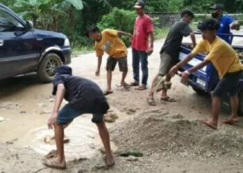 Jalan Taman Nasional Ujung Kulon Butuh Perhatian Pemerintah Daerah dan Pemerintah Pusat