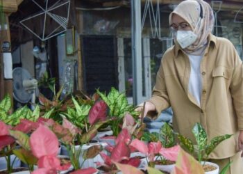 Relaksasi Hati dan Pikiran melalui Tanaman Hias Ala Ambu Anne Ratna Mustika
