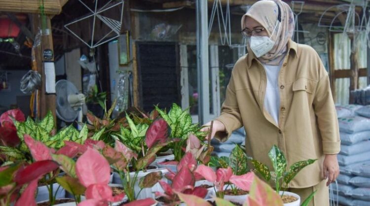 Relaksasi Hati dan Pikiran melalui Tanaman Hias Ala Ambu Anne Ratna Mustika