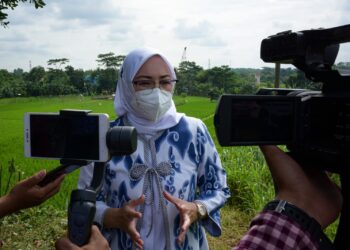Pastikan Penunjang Ketahanan Pangan, Pemkab Purwakarta Bangun Lima Saluran Irigasi