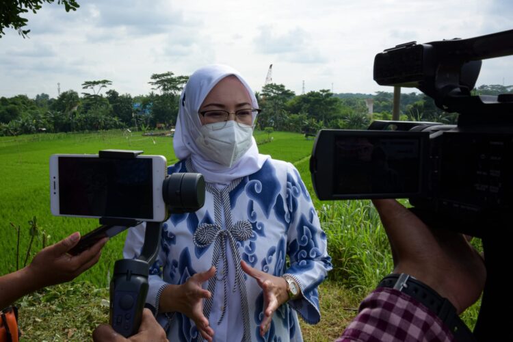 Pastikan Penunjang Ketahanan Pangan, Pemkab Purwakarta Bangun Lima Saluran Irigasi
