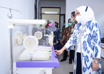 Bukan Lumpuh, Sejumlah Warga Darangdan Alami Nyeri Sendi dan Meriang Akibat Cikungunya