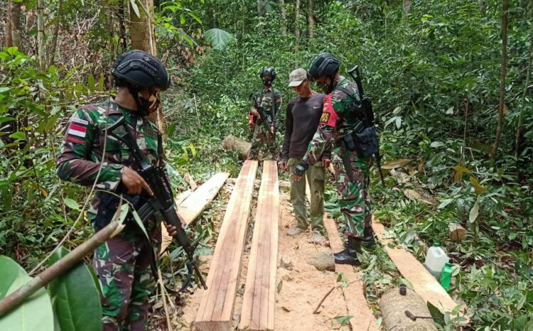 Kembali, Satgas Pamtas Yonif 407 Amankan Pelaku Ilegal Loging
