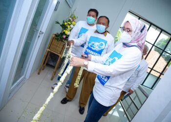 Purbakesa, Jembatani Layanan Kesehatan Terintegrasi