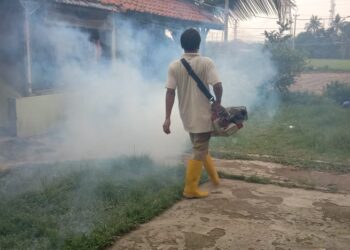 Giat Penyemprotan Mencegah Wabah Cikunguyah Di Wilayah RW 01 Nagri Tengah