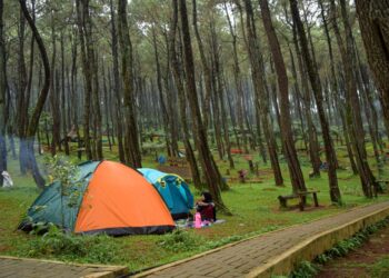 Dukung Pemulihan Ekonomi, Vaskinasi Covid-19 Harus Sasar Pengelola Wisata