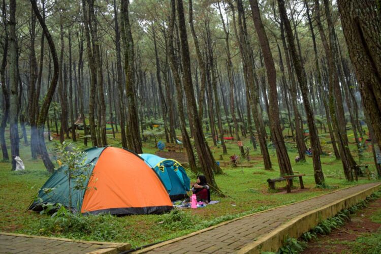 Dukung Pemulihan Ekonomi, Vaskinasi Covid-19 Harus Sasar Pengelola Wisata