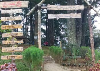 Ini alasan situ Wanayasa di Purwakarta Layak Dikunjungi