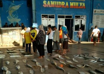 Diduga Karcis Retribusi TPI Ciparage Karawang Dipalsukan Oleh Oknum Tertentu
