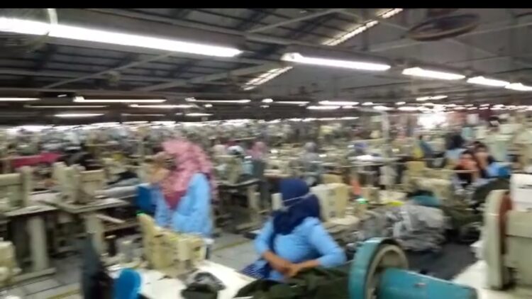 PT.Panca Prima Ekabrothers Kangkangi Permen Nomor 6Tahun 2016 Tentang Ketenagakerjaan