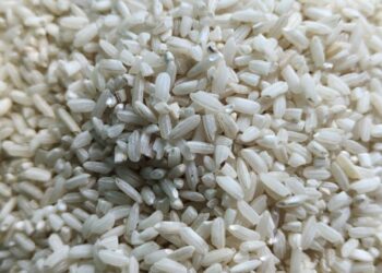 Bantuan Pemerintah BPNT Berupa Beras Yang Berkolaborasi Dengan PT Samiaji Diduga Tidak Layak Di Konsumsi Masyarakat