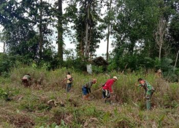 Babinsa Koramil Sungai Kunyit, Ajak Warga Sekitar Kelola Lahan Tidur Menjadi Produktif