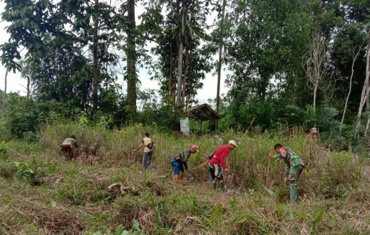 Babinsa Koramil Sungai Kunyit, Ajak Warga Sekitar Kelola Lahan Tidur Menjadi Produktif
