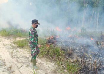 Titik Api Muncul, Dandim 1201/Mph, Instruksikan Koramil Toho dan Menyuke Atasi Karhutla