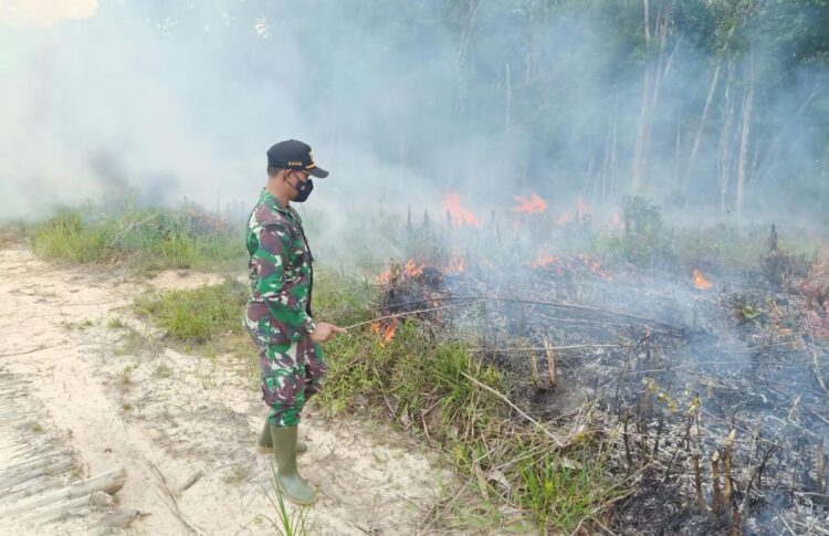 Titik Api Muncul, Dandim 1201/Mph, Instruksikan Koramil Toho dan Menyuke Atasi Karhutla