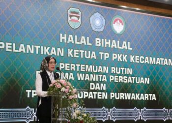 Intervensi Pemkab Purwakarta pada Pencegahan dan Penanggulangan Stunting Fokus di Tujuh Kecamatan