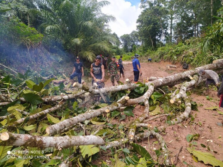 Kekompokan Babinsa Dan Masyarakat Bergotong Royong